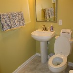 Basement Guest Bathroom Silver Spring 20904