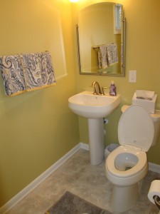 Basement Guest Bathroom Silver Spring 20904