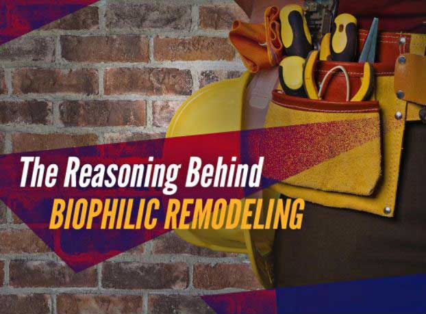 The Reasoning Behind Biophilic Remodeling